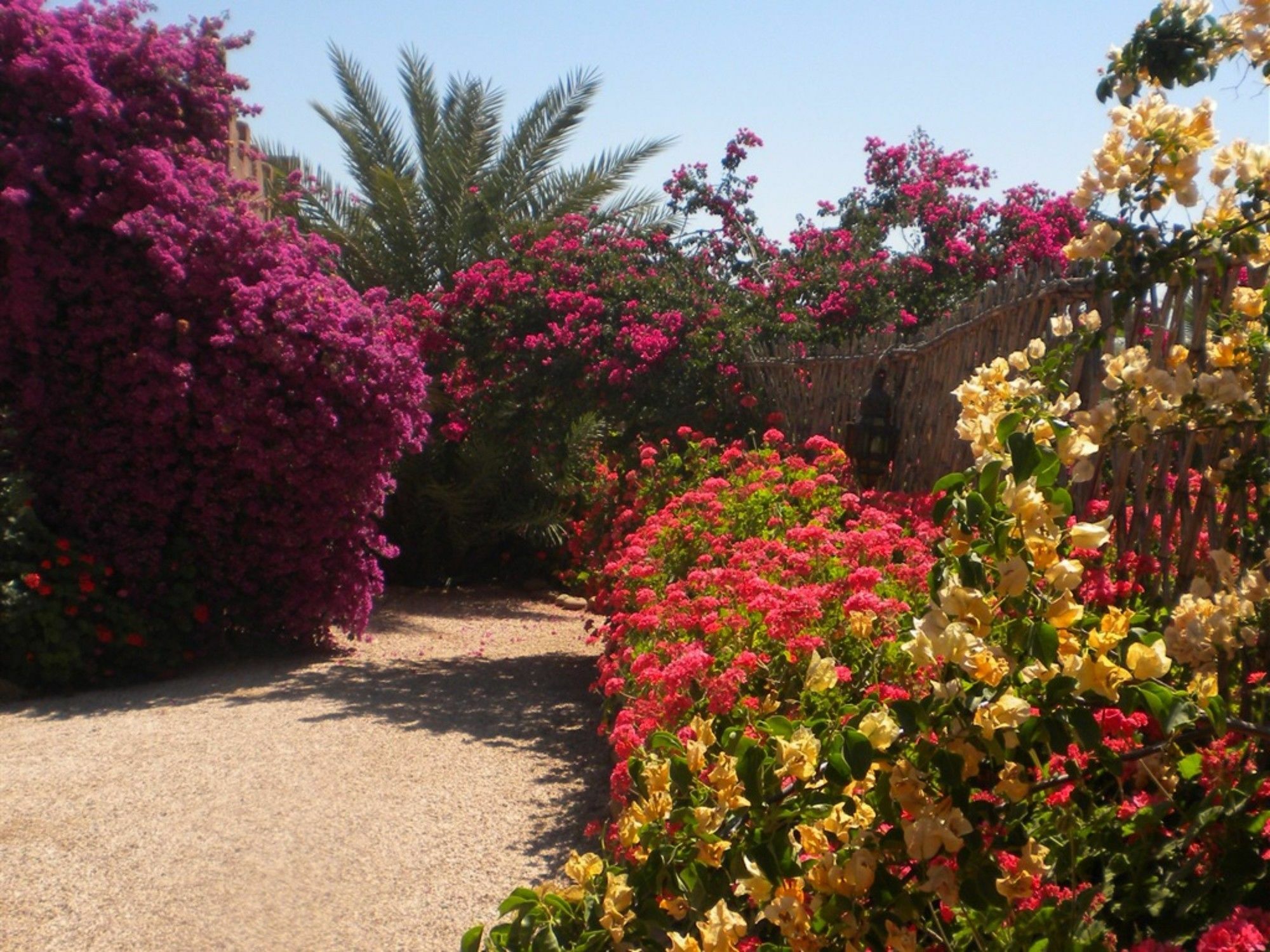 Hotel Riad Souiguia Ouled Jelal Exteriér fotografie